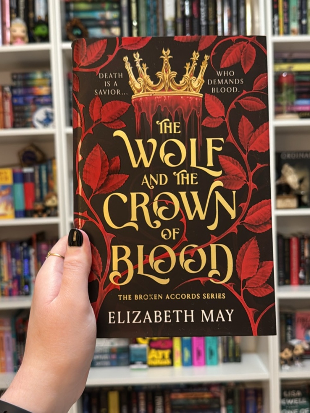 *BRAND NEW* Special Edition Fantasy Book: The Wolf and the Crown of Bloos